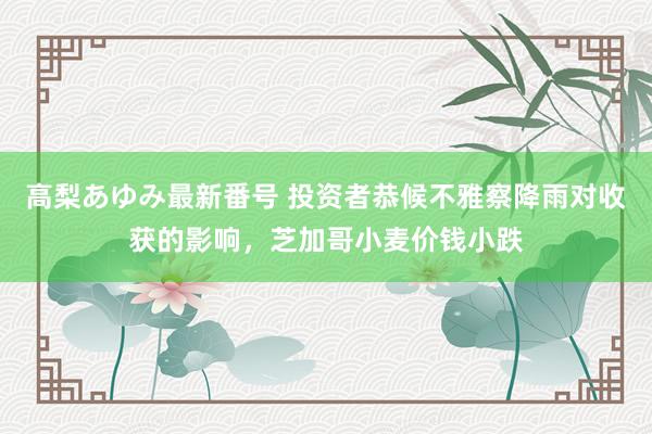 高梨あゆみ最新番号 投资者恭候不雅察降雨对收获的影响，芝加哥小麦价钱小跌